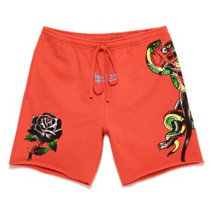 Orange Ed Hardy Panther Short | AJ0649537